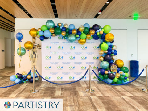 Washington DC Balloon decorations with backdrop